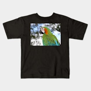 Harlequin Macaw Portrait Kids T-Shirt